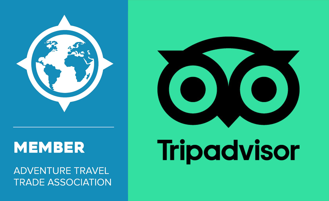 Ariane Travel & Tourism